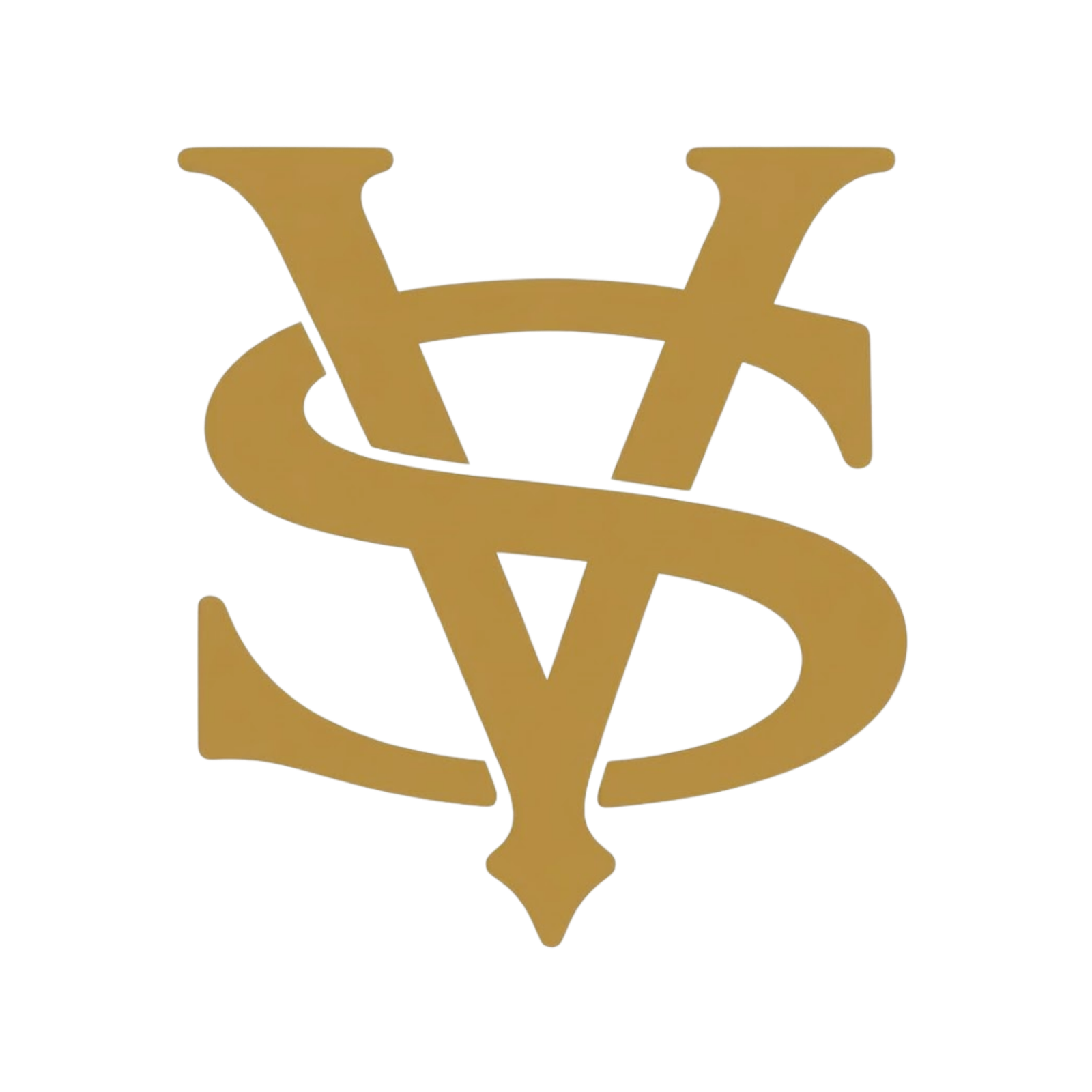 BVS Financial