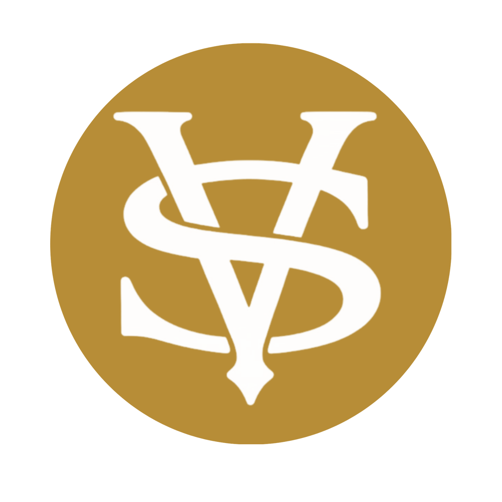 BVS Financial